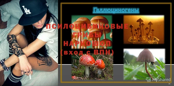 гашиш Абаза