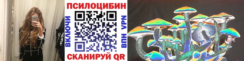 Псилоцибиновые грибы Cubensis Райчихинск